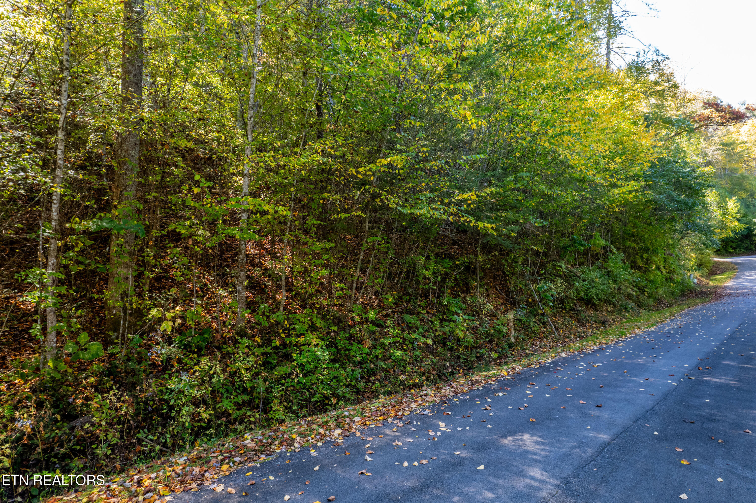 716 Tanasi Trail Townsend TN 37882