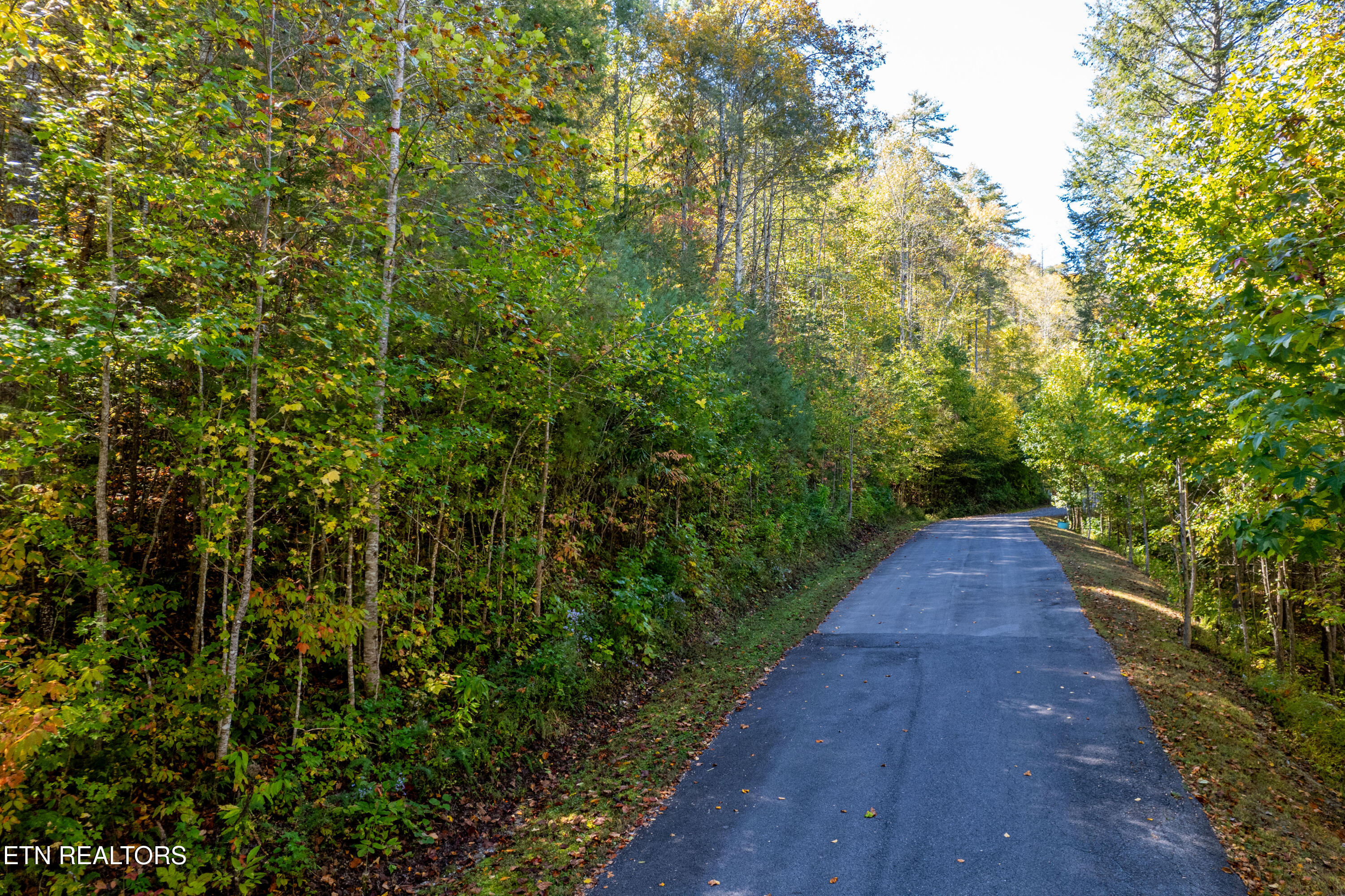 716 Tanasi Trail Townsend TN 37882