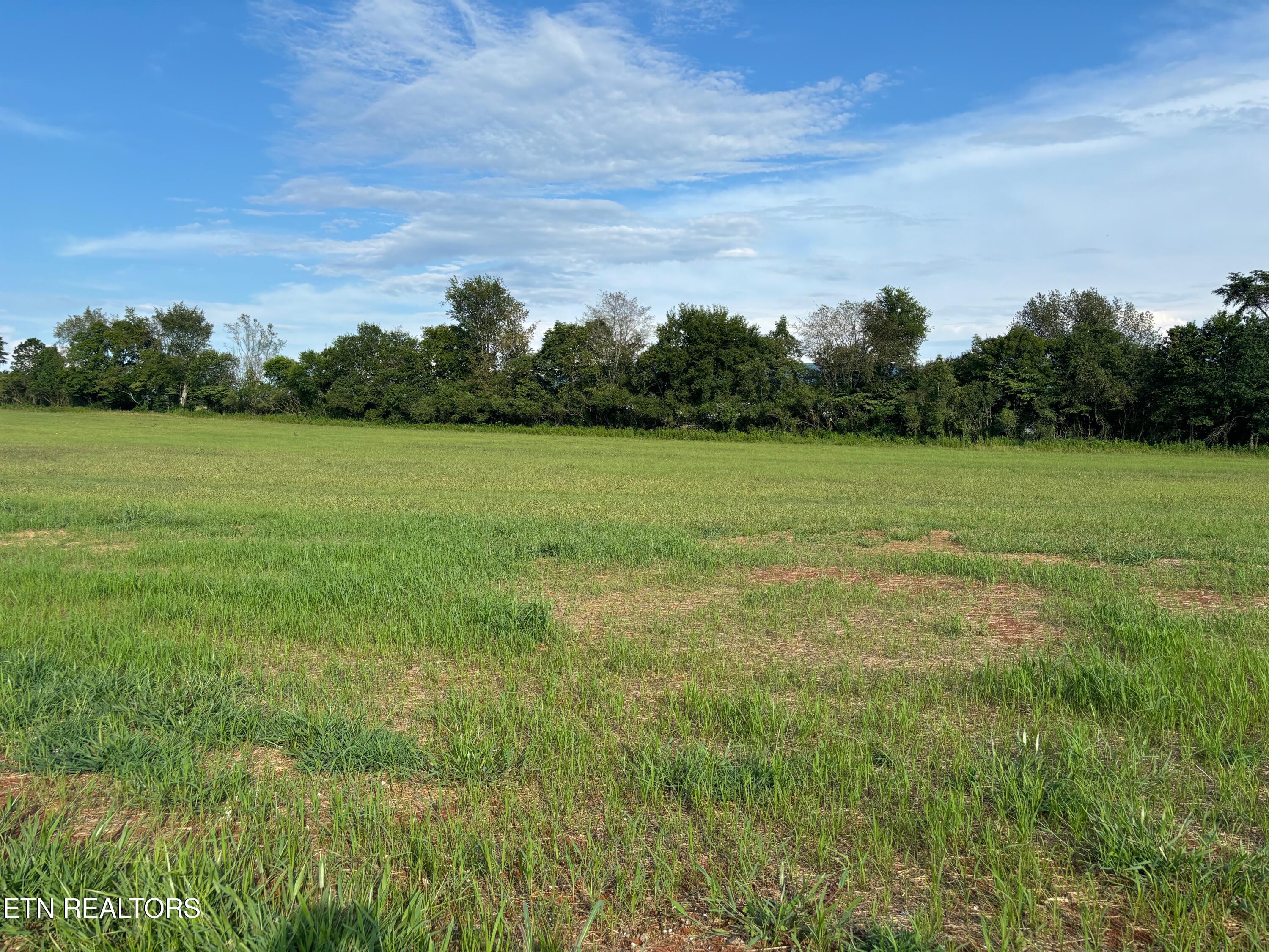 Tristar Way Seymour TN 37865