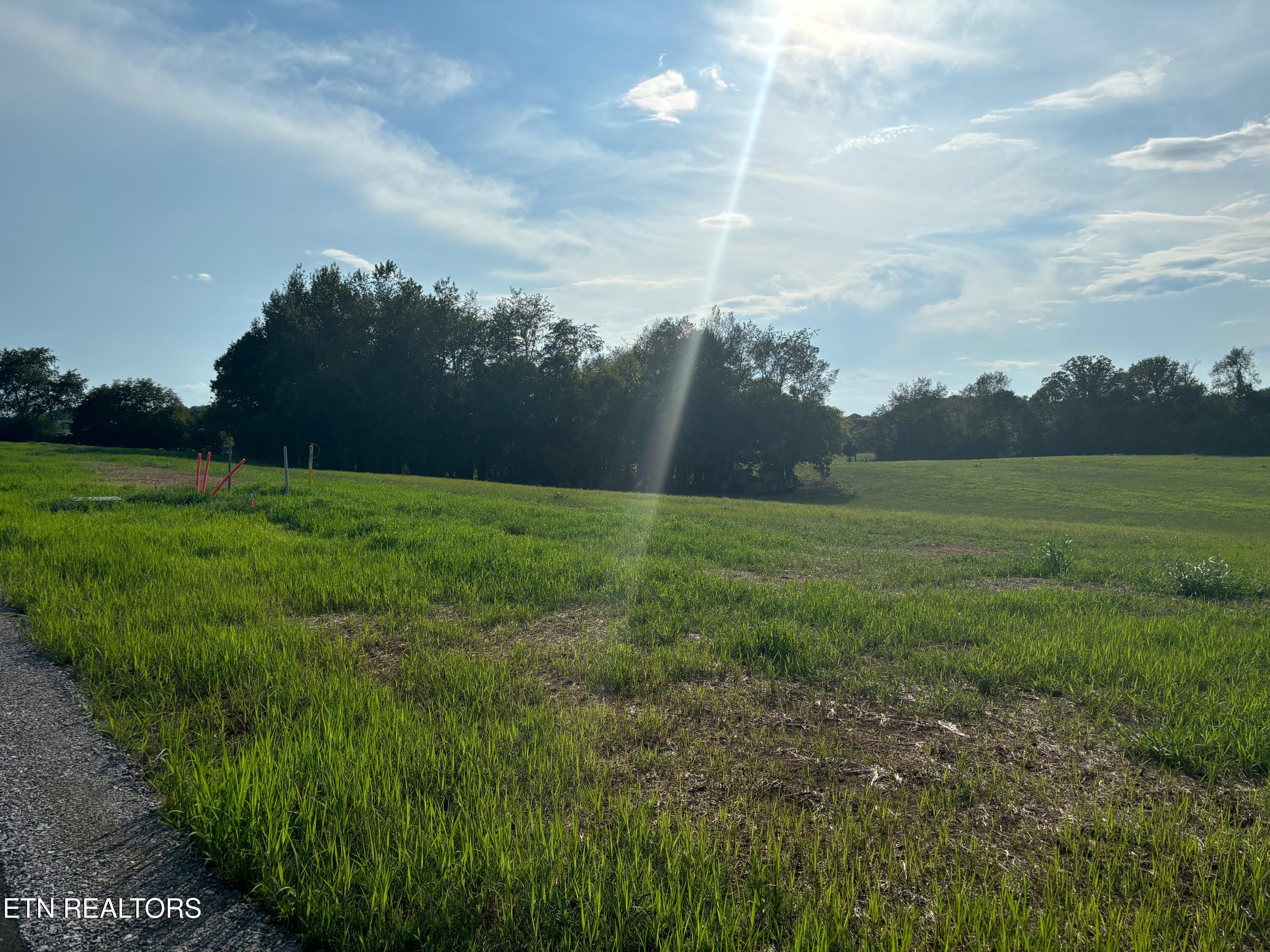 Tristar Way Seymour TN 37865