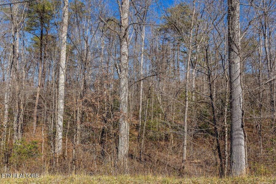 Sparta Highway Crossville TN 38572