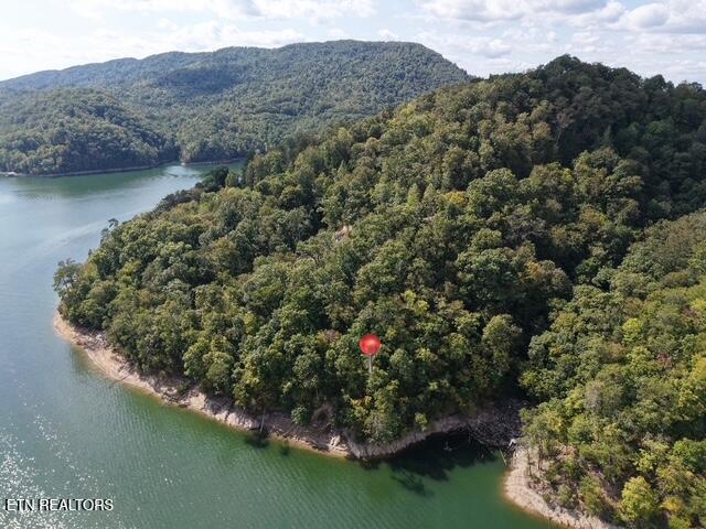 Lot 875 Clear Water Road New Tazewell TN 37825