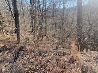 Lot 875 Clear Water Road New Tazewell TN 37825