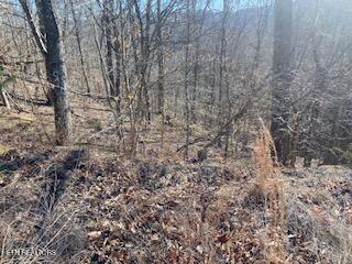 Lot 875 Clear Water Road New Tazewell TN 37825