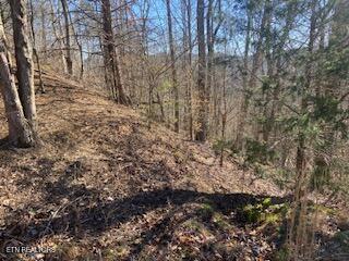Lot 875 Clear Water Road New Tazewell TN 37825
