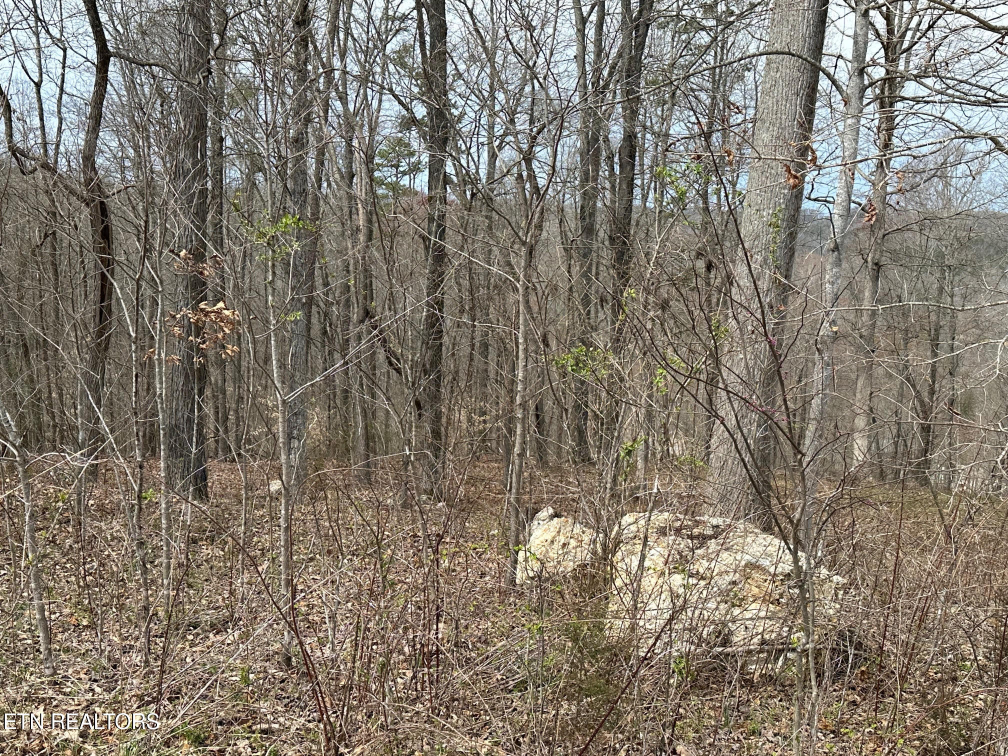 Lot 605 N Two Rivers Lane Lafollette TN 37766