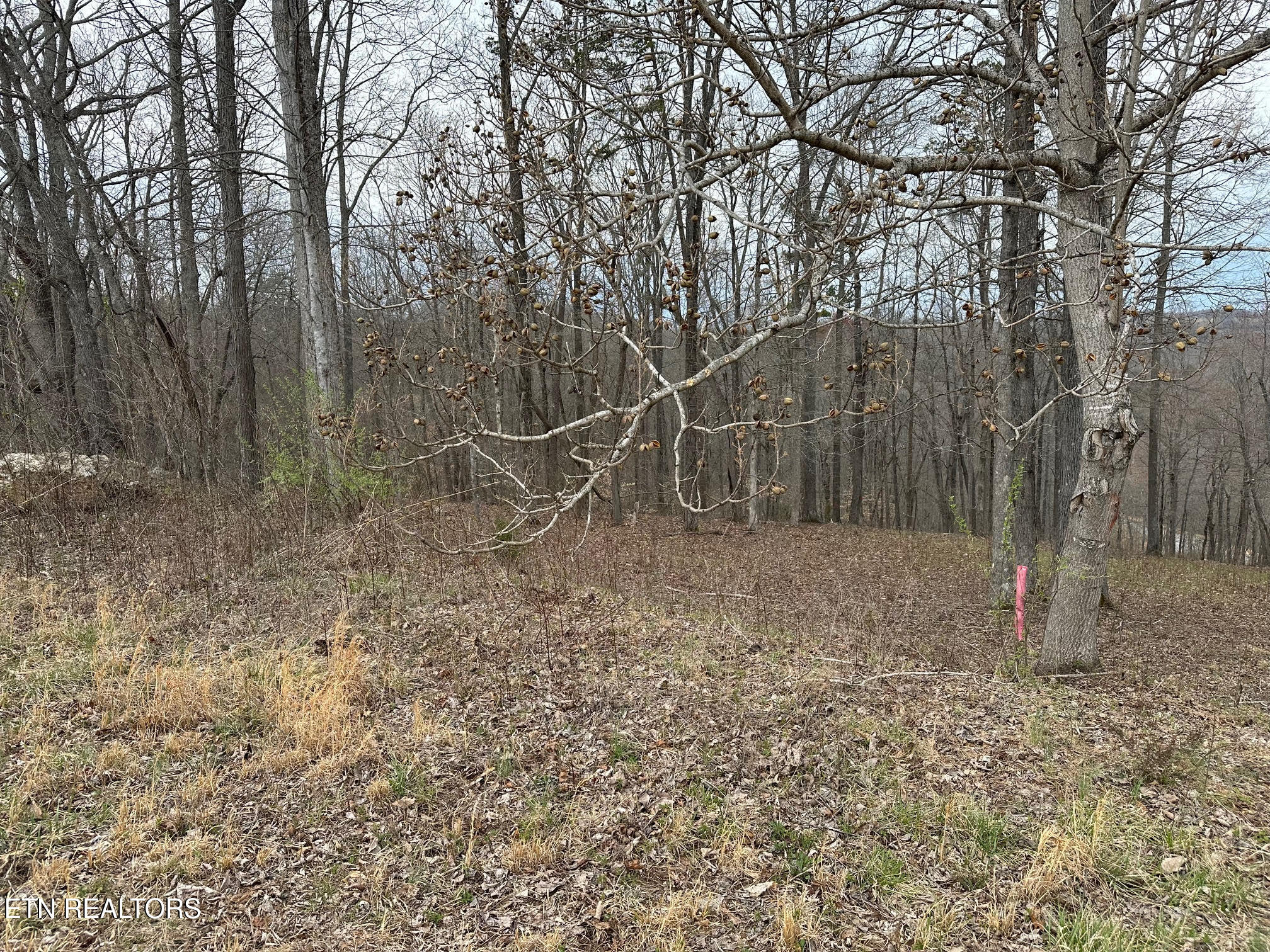 Lot 605 N Two Rivers Lane Lafollette TN 37766