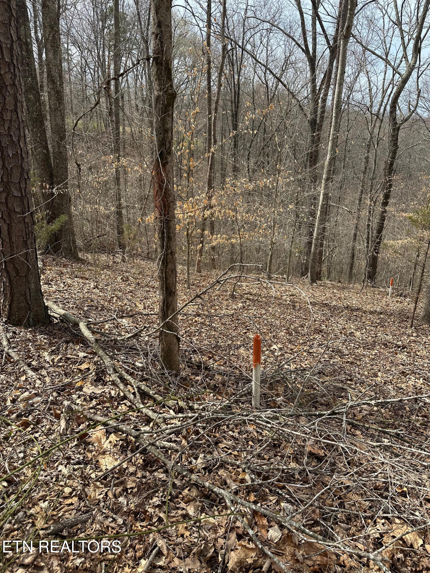 Lot 605 N Two Rivers Lane Lafollette TN 37766