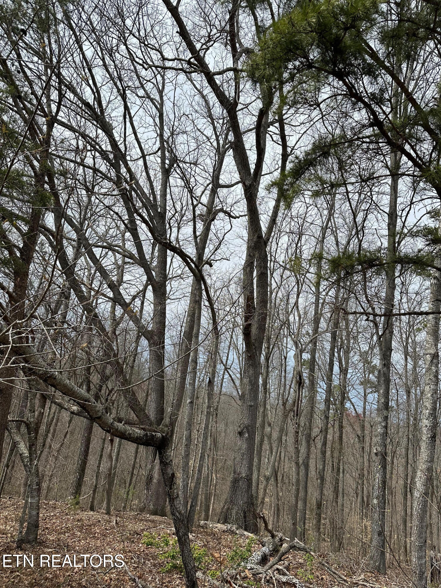 Lot 605 N Two Rivers Lane Lafollette TN 37766