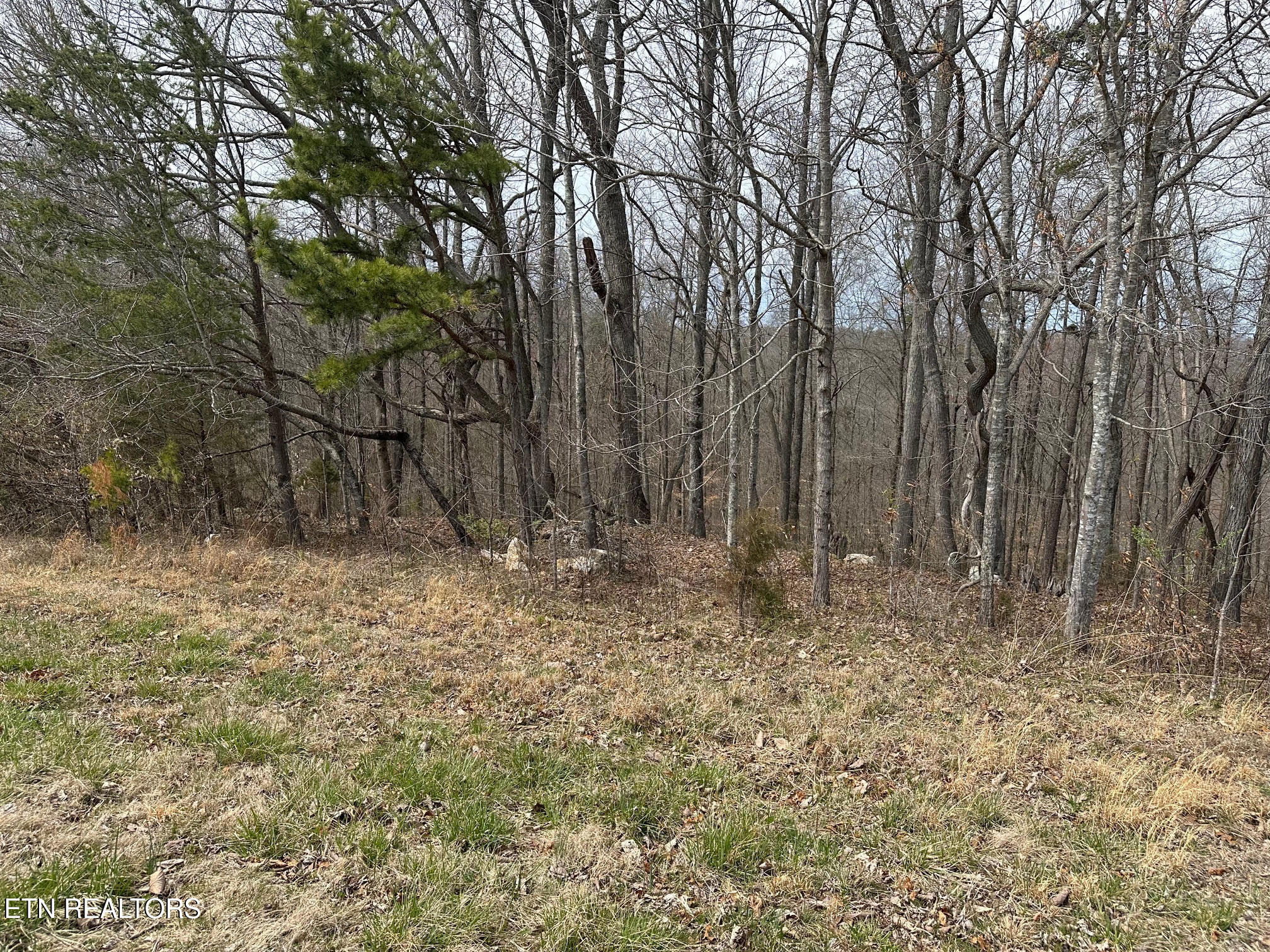 Lot 605 N Two Rivers Lane Lafollette TN 37766