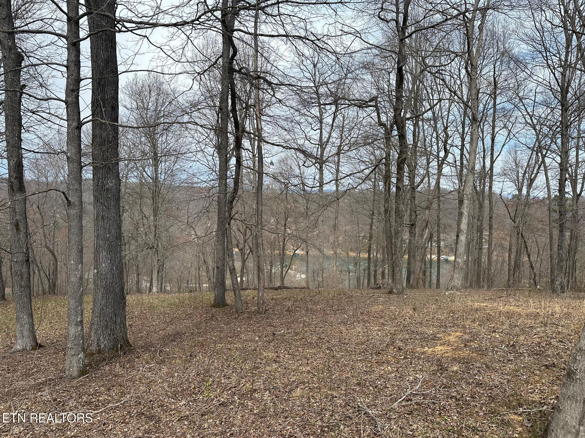 Lot 605 N Two Rivers Lane Lafollette TN 37766