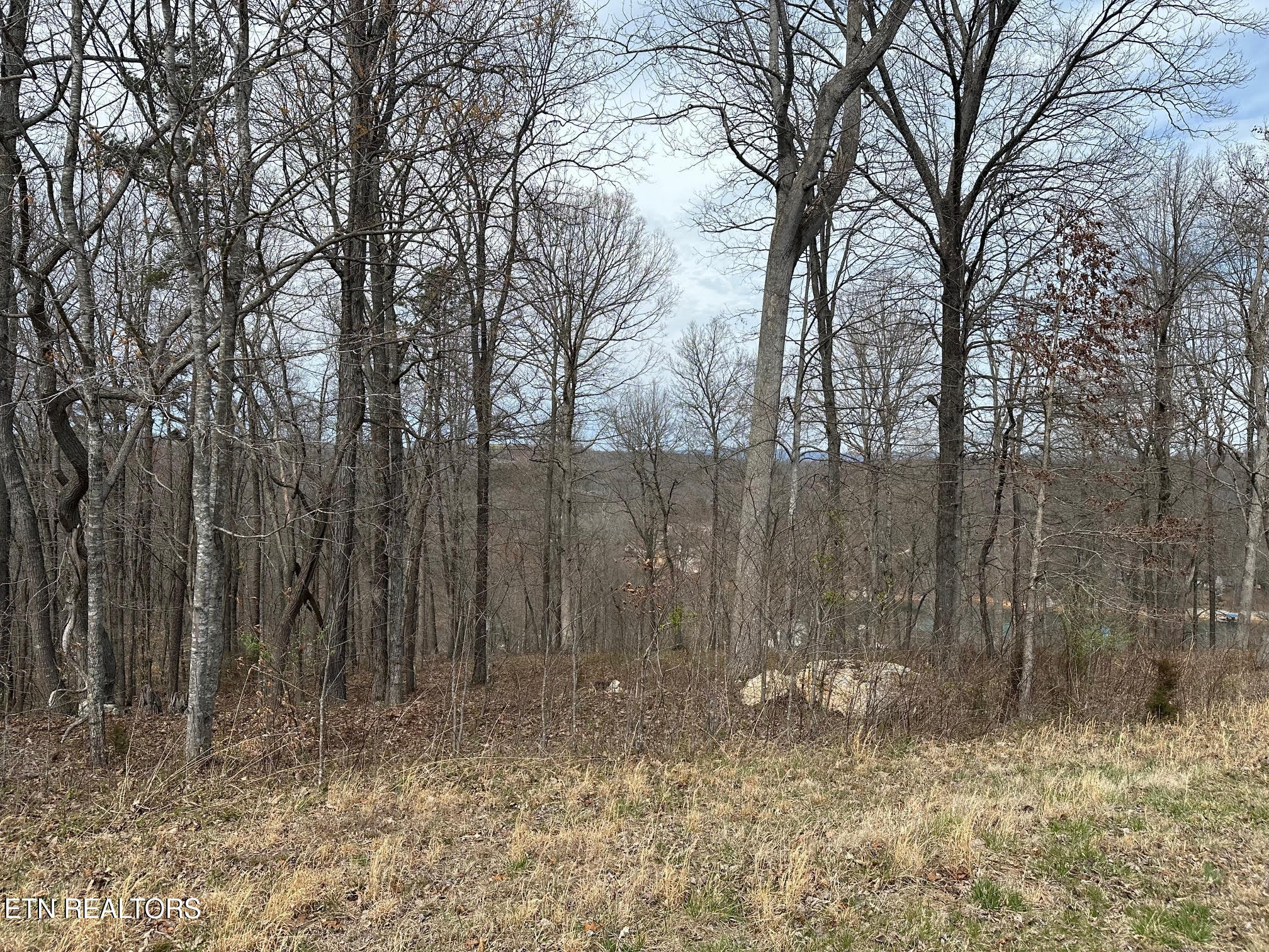Lot 605 N Two Rivers Lane Lafollette TN 37766