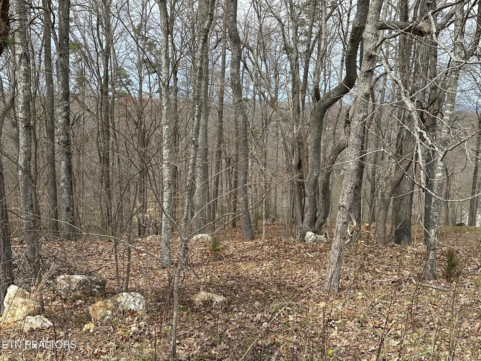 Lot 605 N Two Rivers Lane Lafollette TN 37766