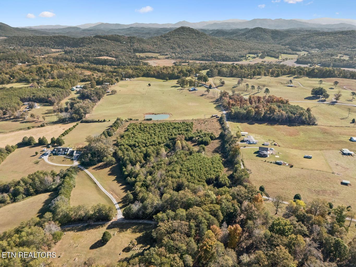 0 Old Sink Church Road, Lot 31 Tellico Plains TN 37385