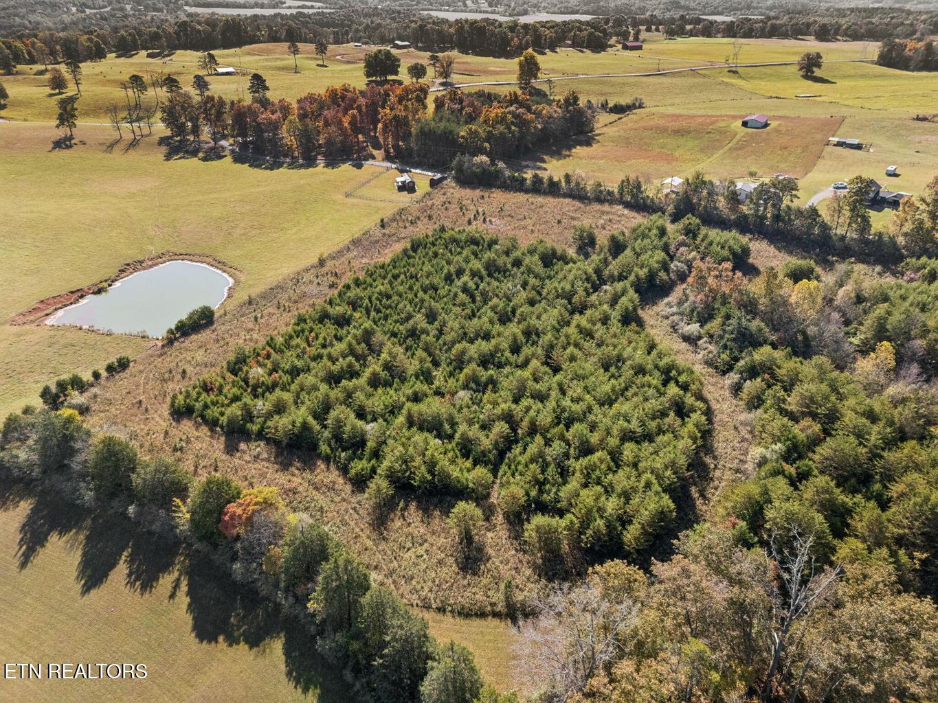 0 Old Sink Church Road, Lot 31 Tellico Plains TN 37385