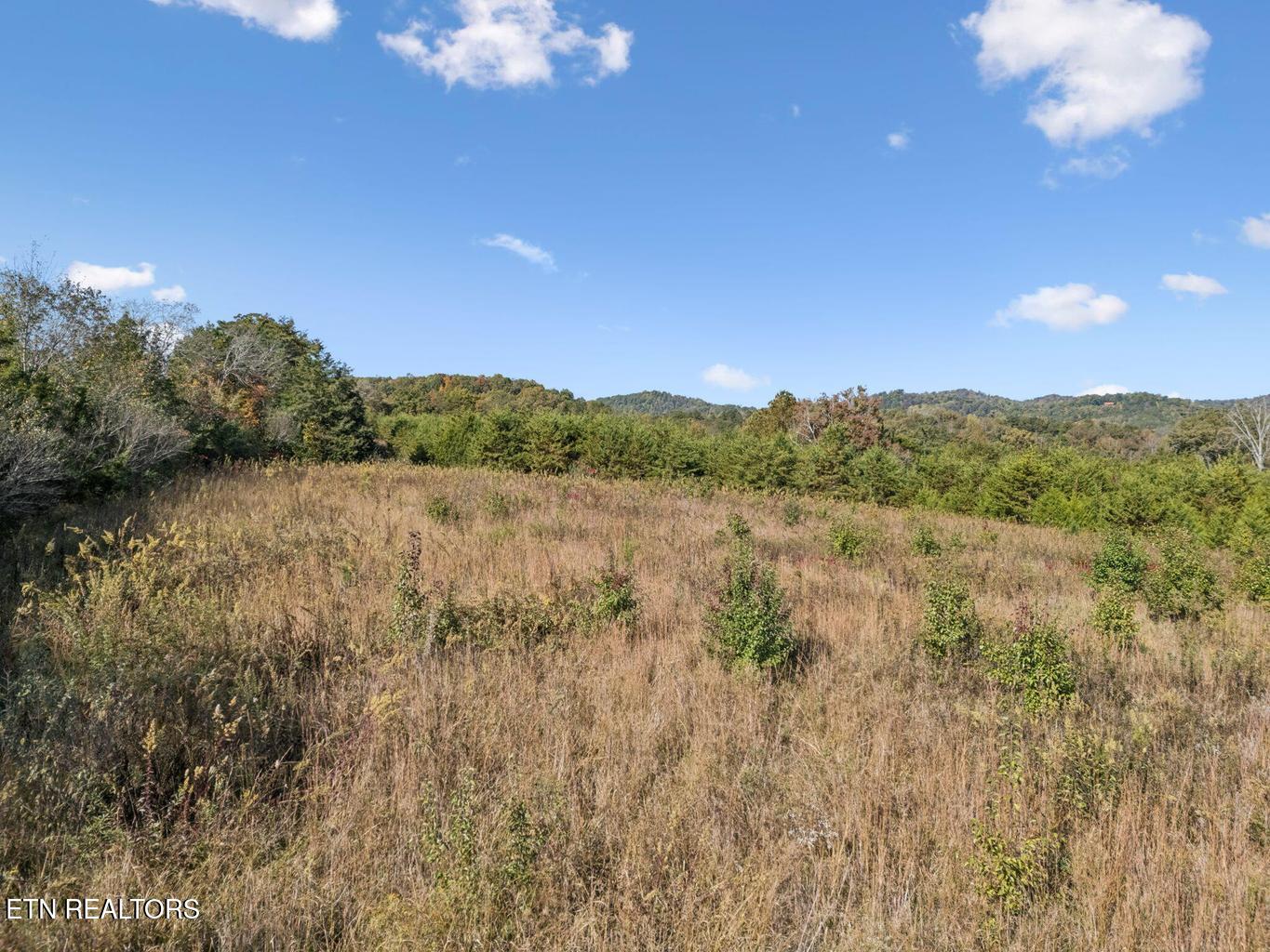 0 Old Sink Church Road, Lot 31 Tellico Plains TN 37385