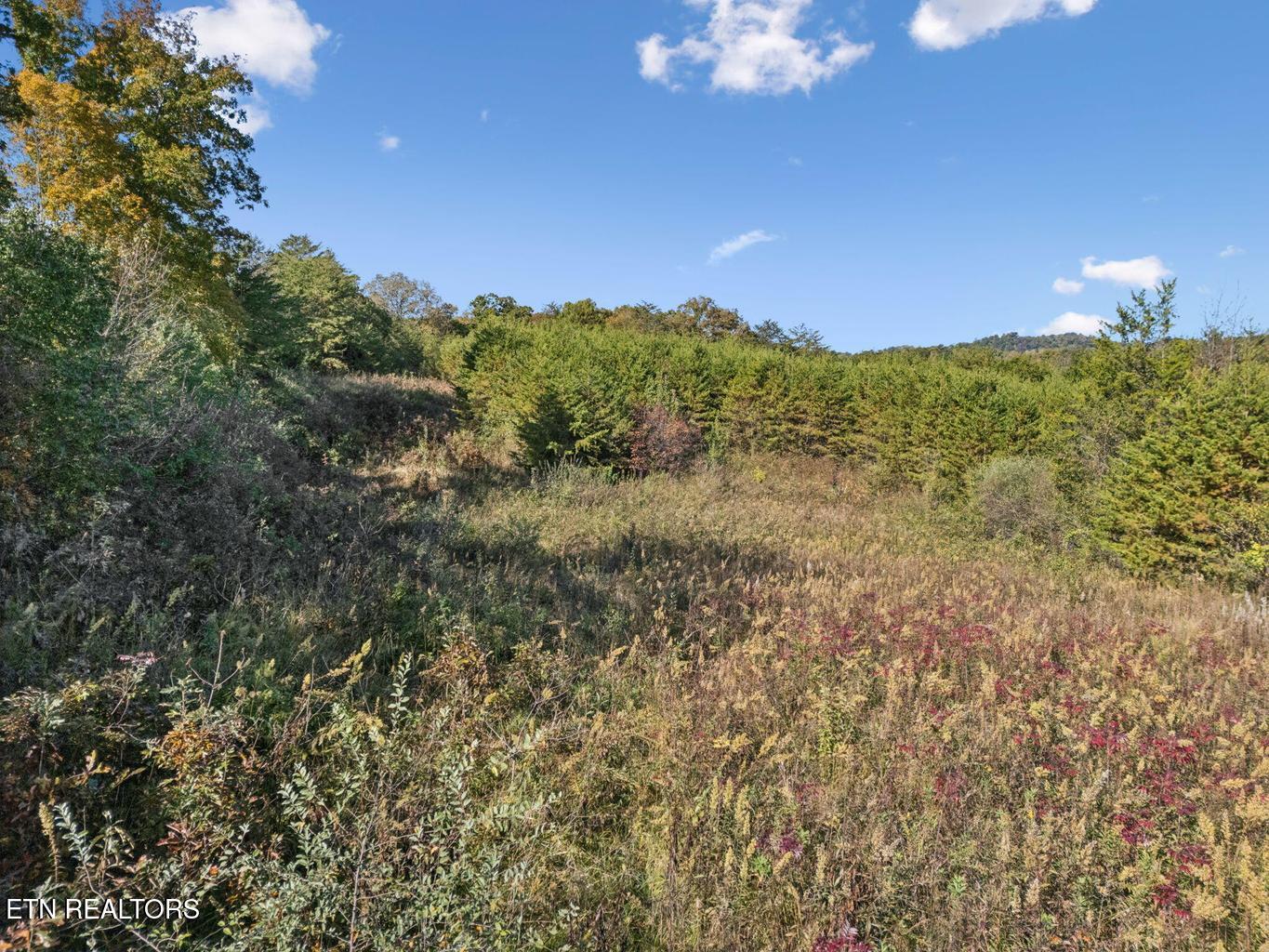 0 Old Sink Church Road, Lot 31 Tellico Plains TN 37385