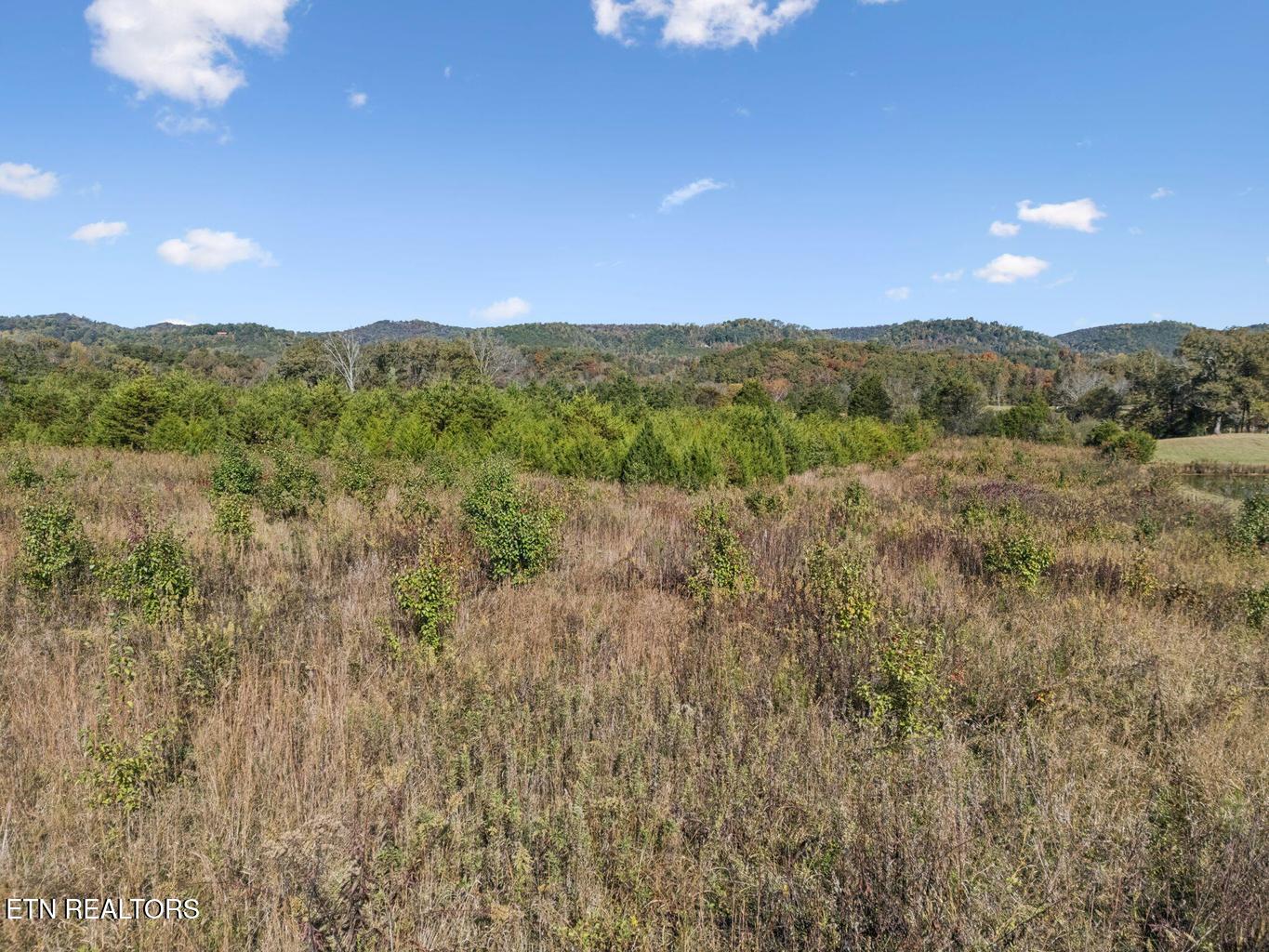0 Old Sink Church Road, Lot 31 Tellico Plains TN 37385