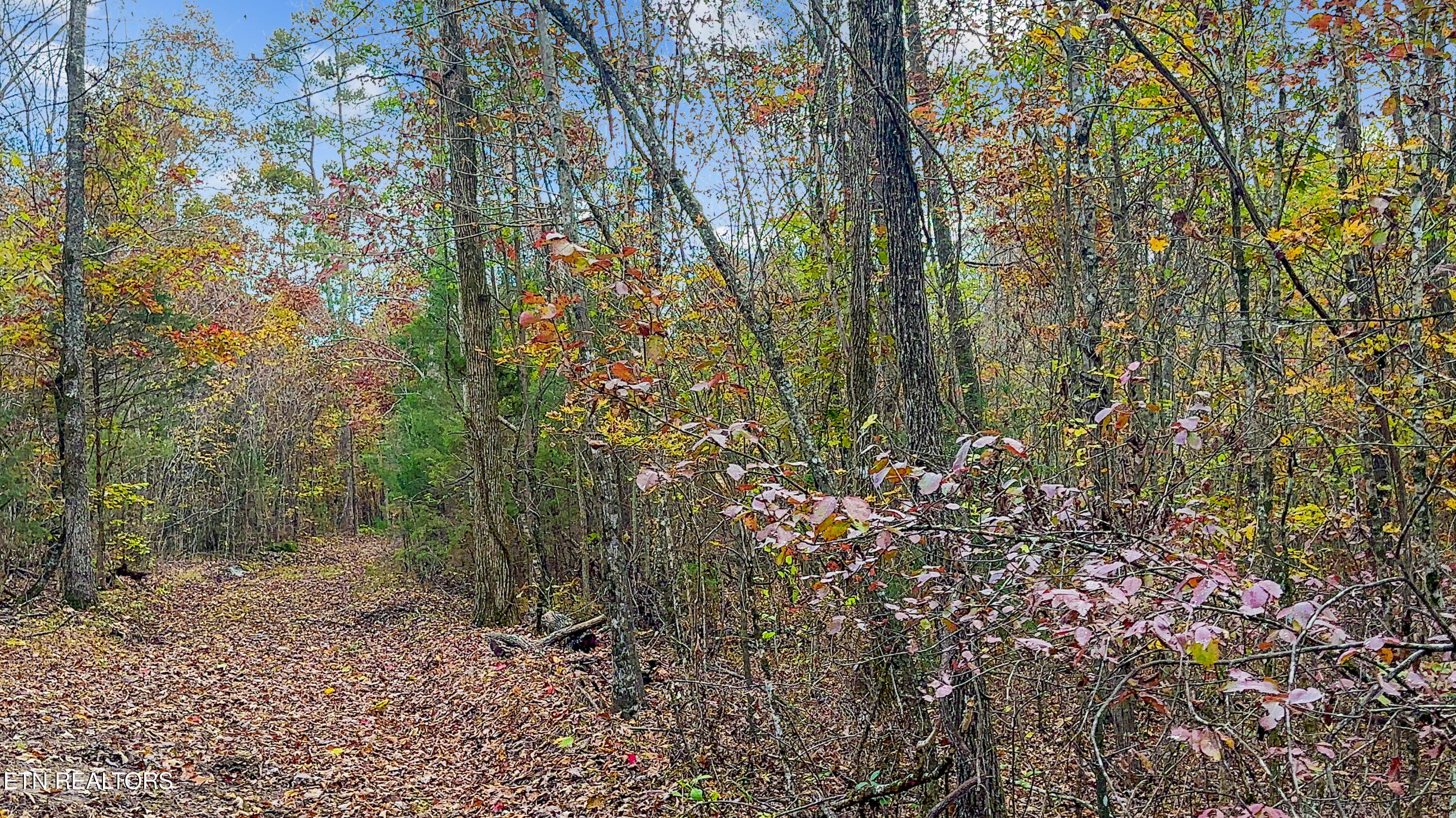 598 Myers Road Kingston TN 37763