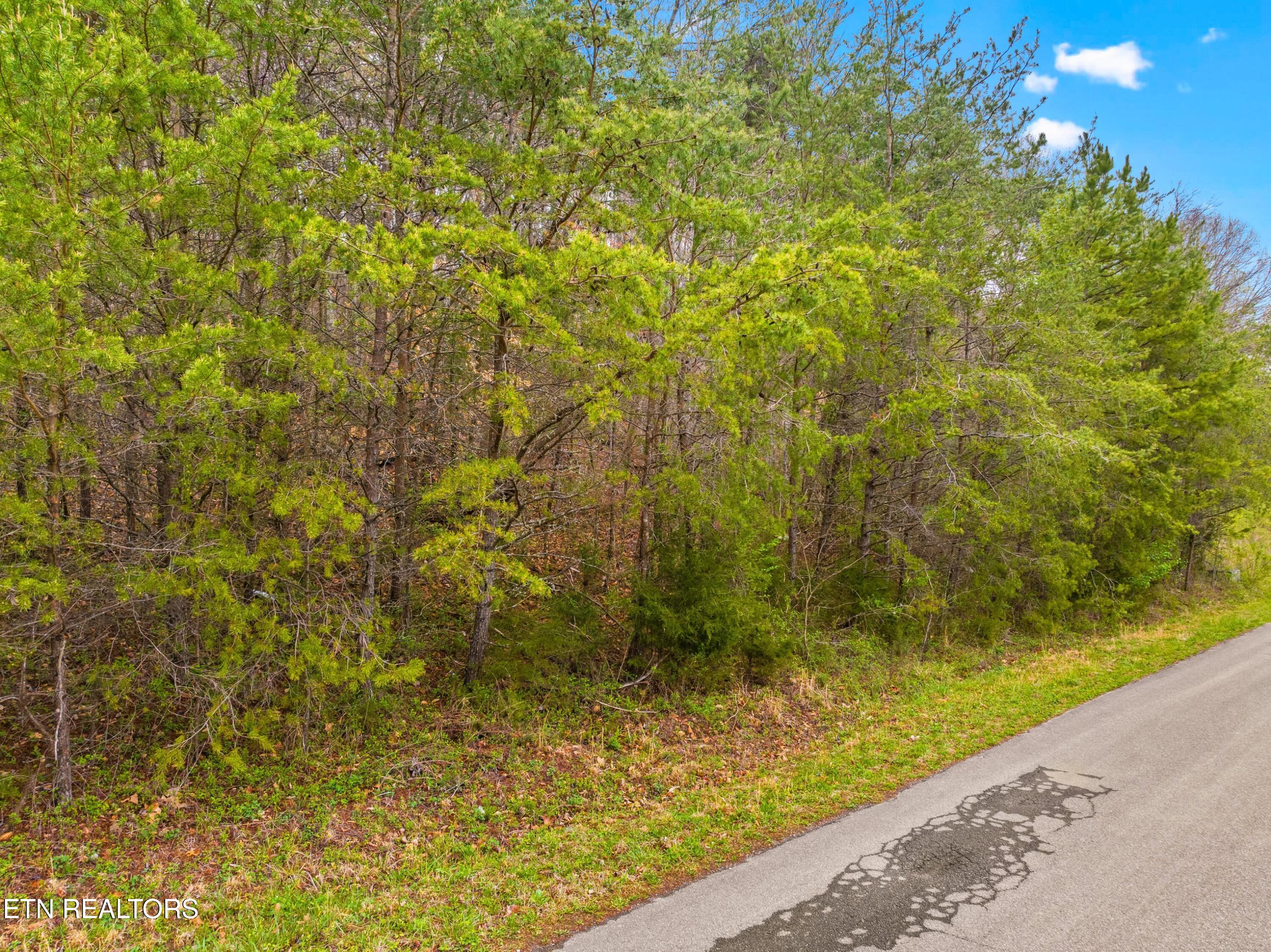 0 English Fields Drive Newport TN 37821