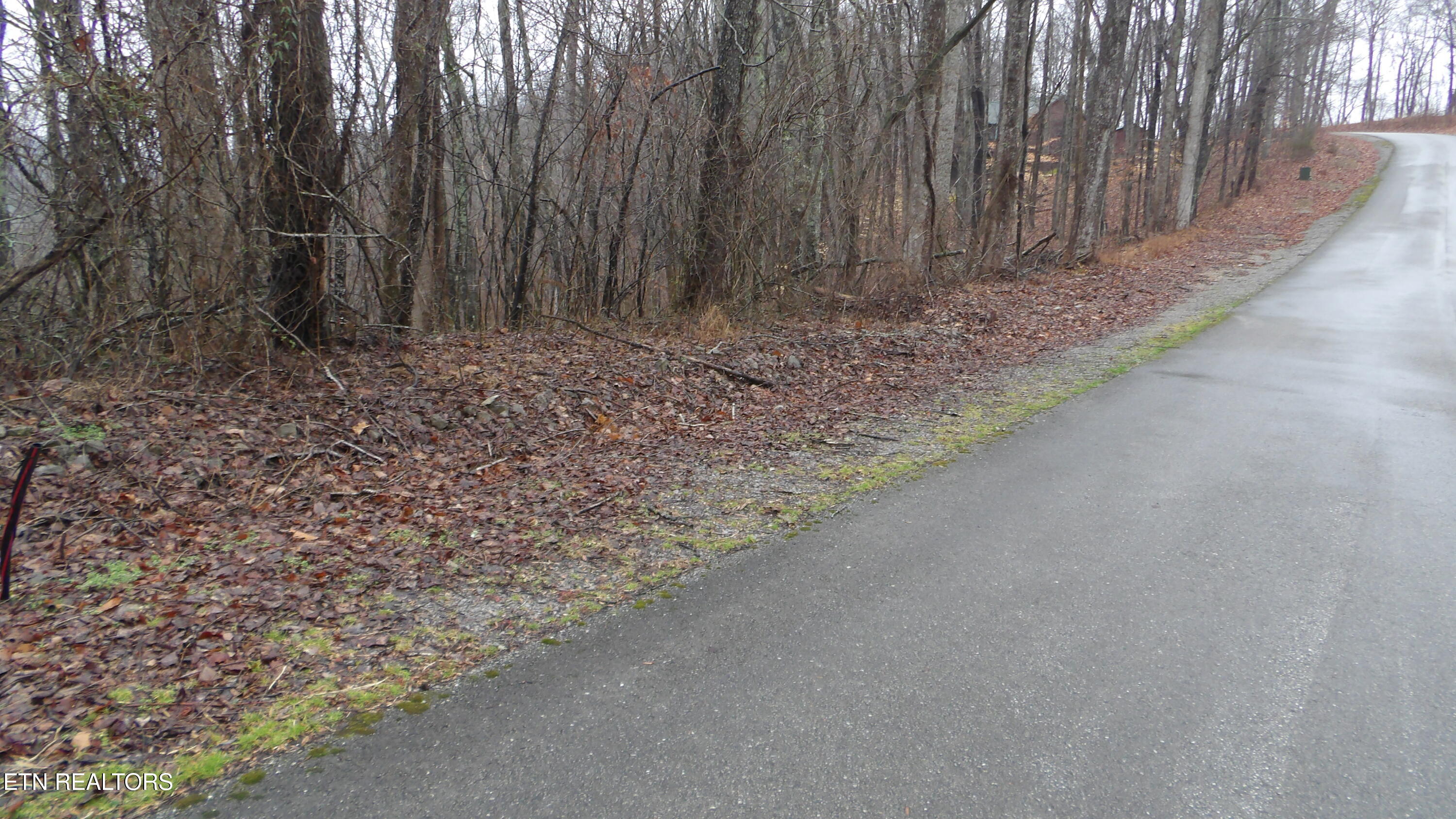 Lots 17&18 Savannah Smithville TN 37166