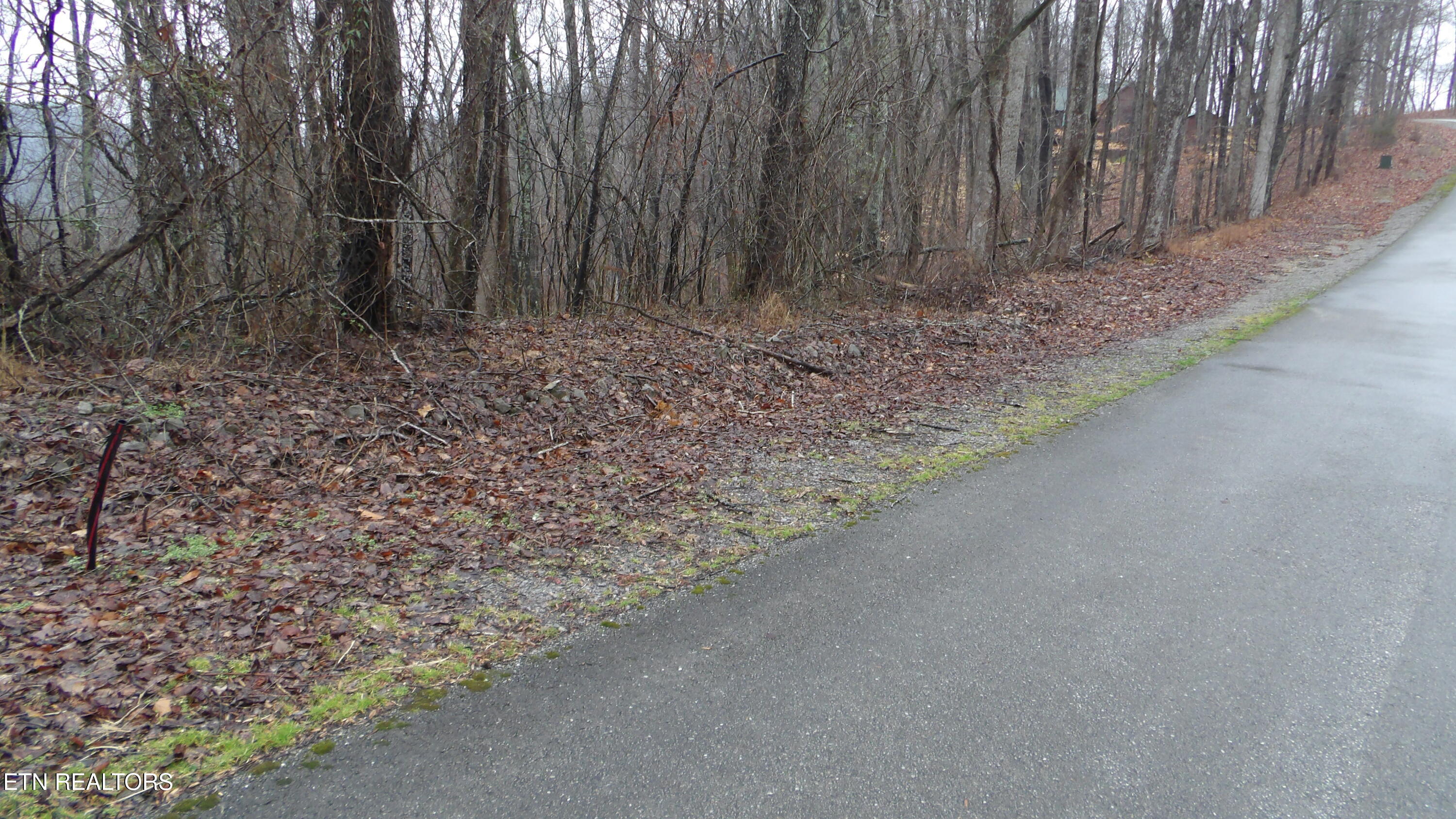 Lots 17&18 Savannah Smithville TN 37166