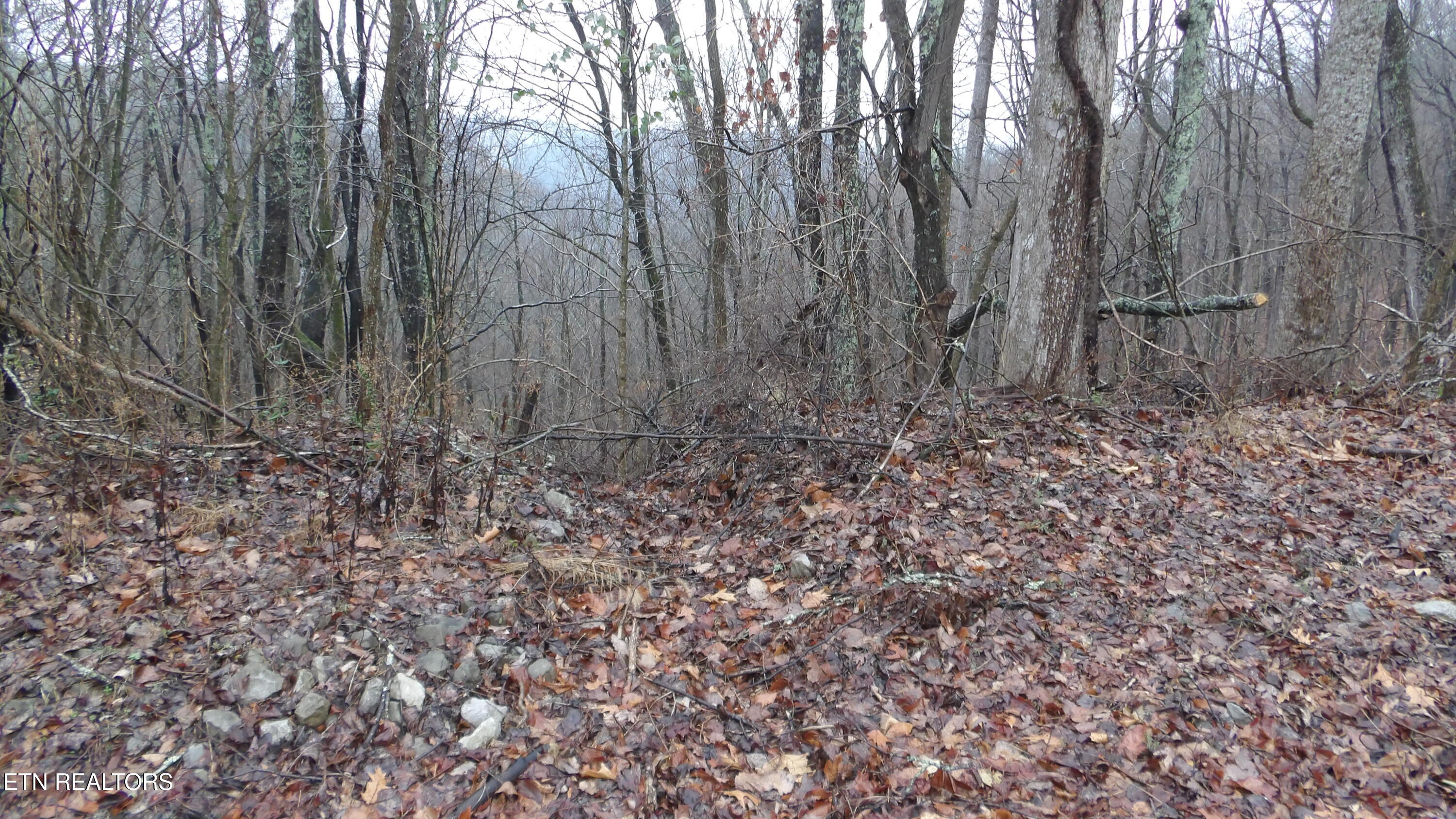 Lots 17&18 Savannah Smithville TN 37166