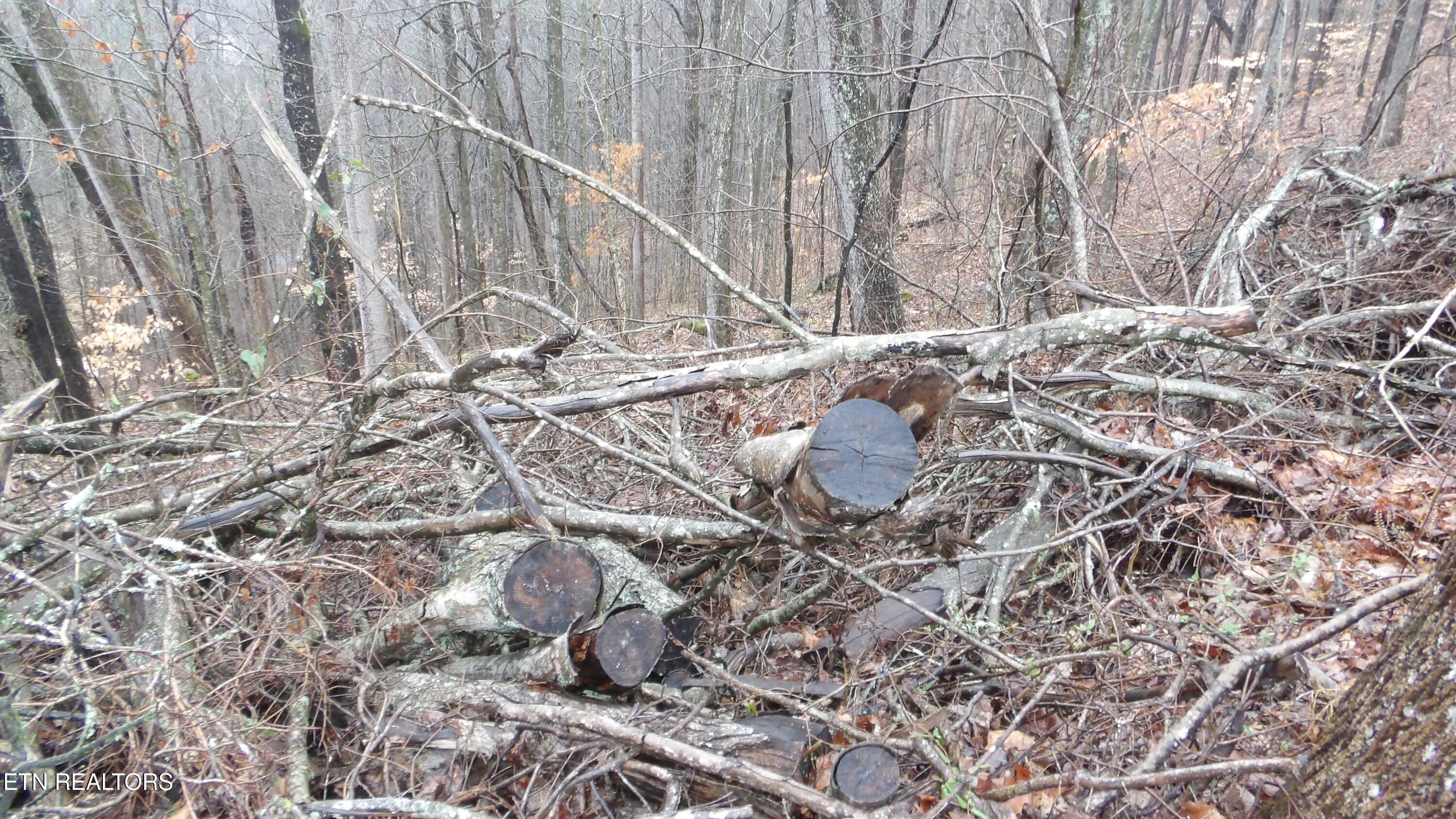 Lots 17&18 Savannah Smithville TN 37166