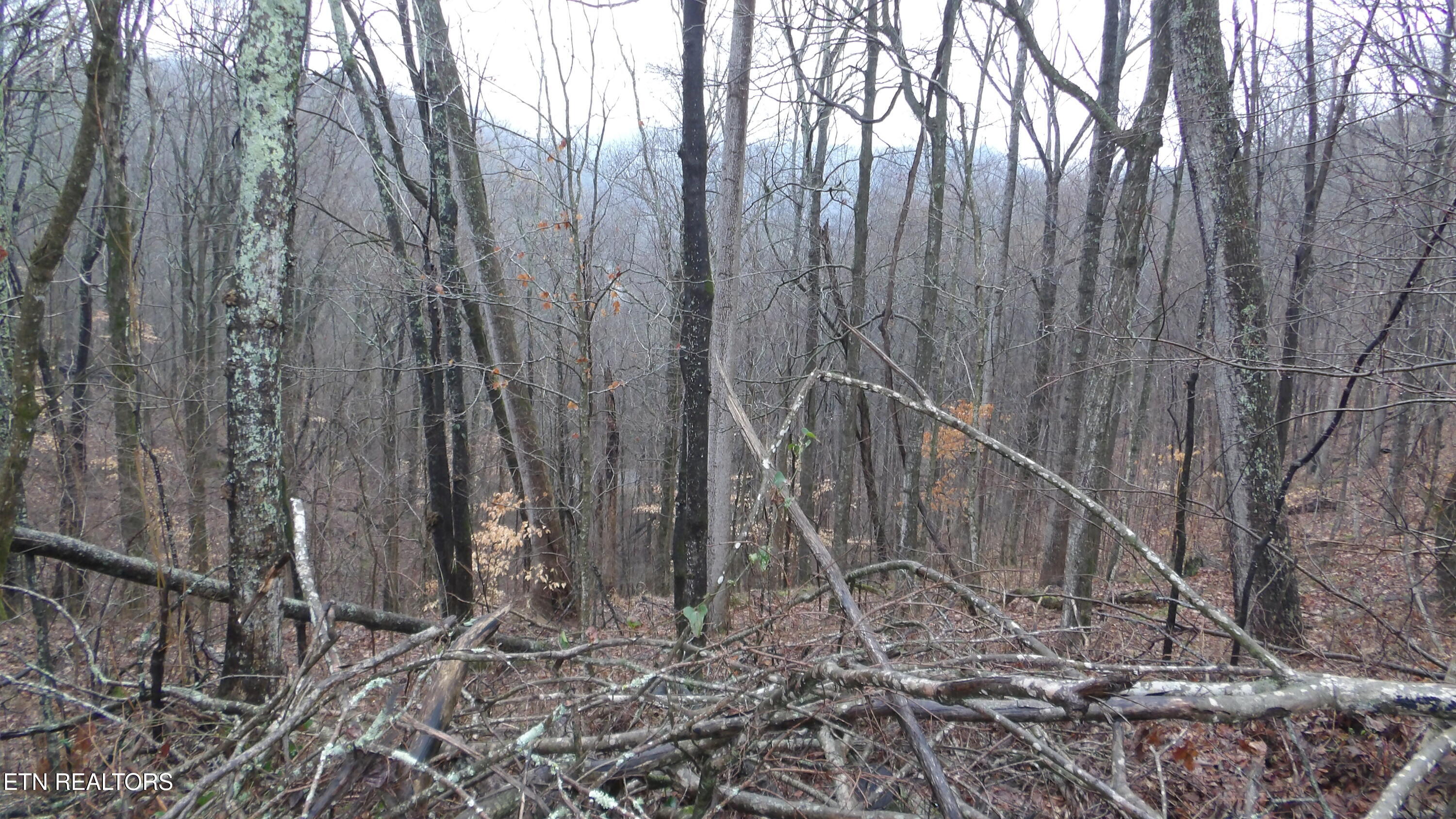 Lots 17&18 Savannah Smithville TN 37166