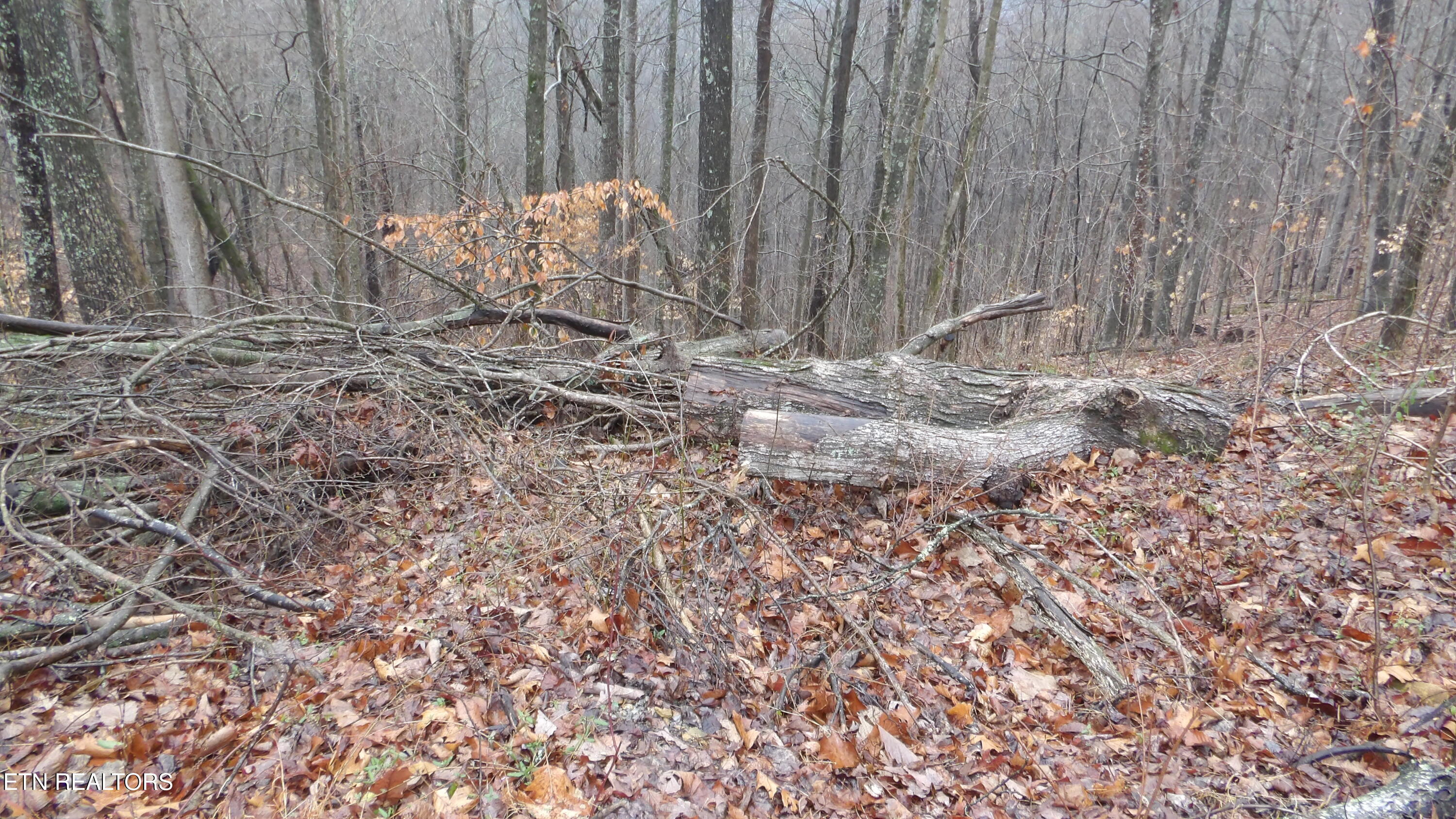 Lots 17&18 Savannah Smithville TN 37166