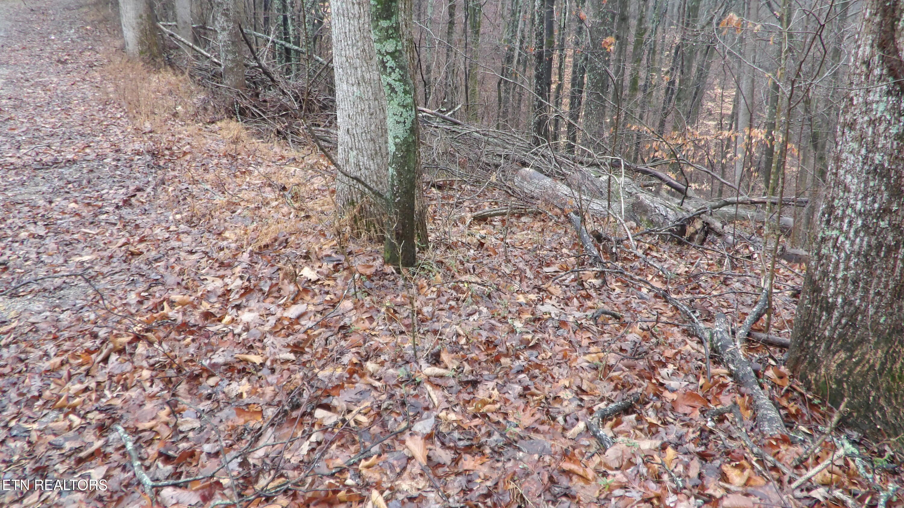 Lots 17&18 Savannah Smithville TN 37166
