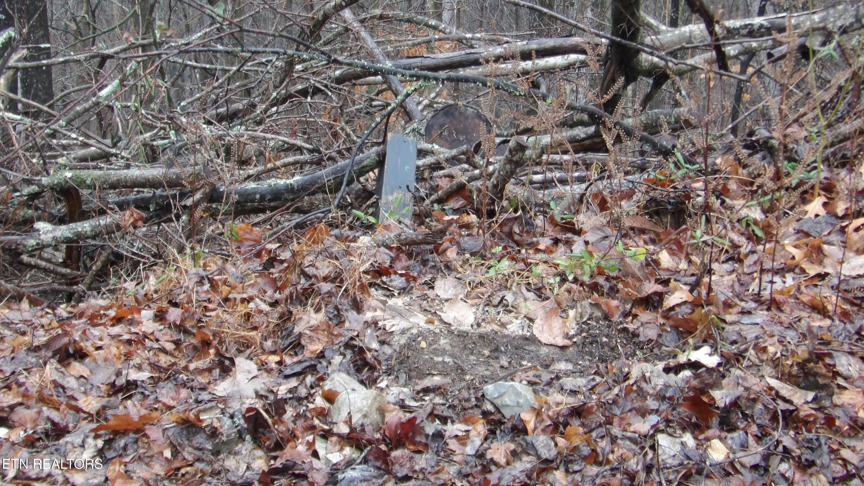 Lots 17&18 Savannah Smithville TN 37166