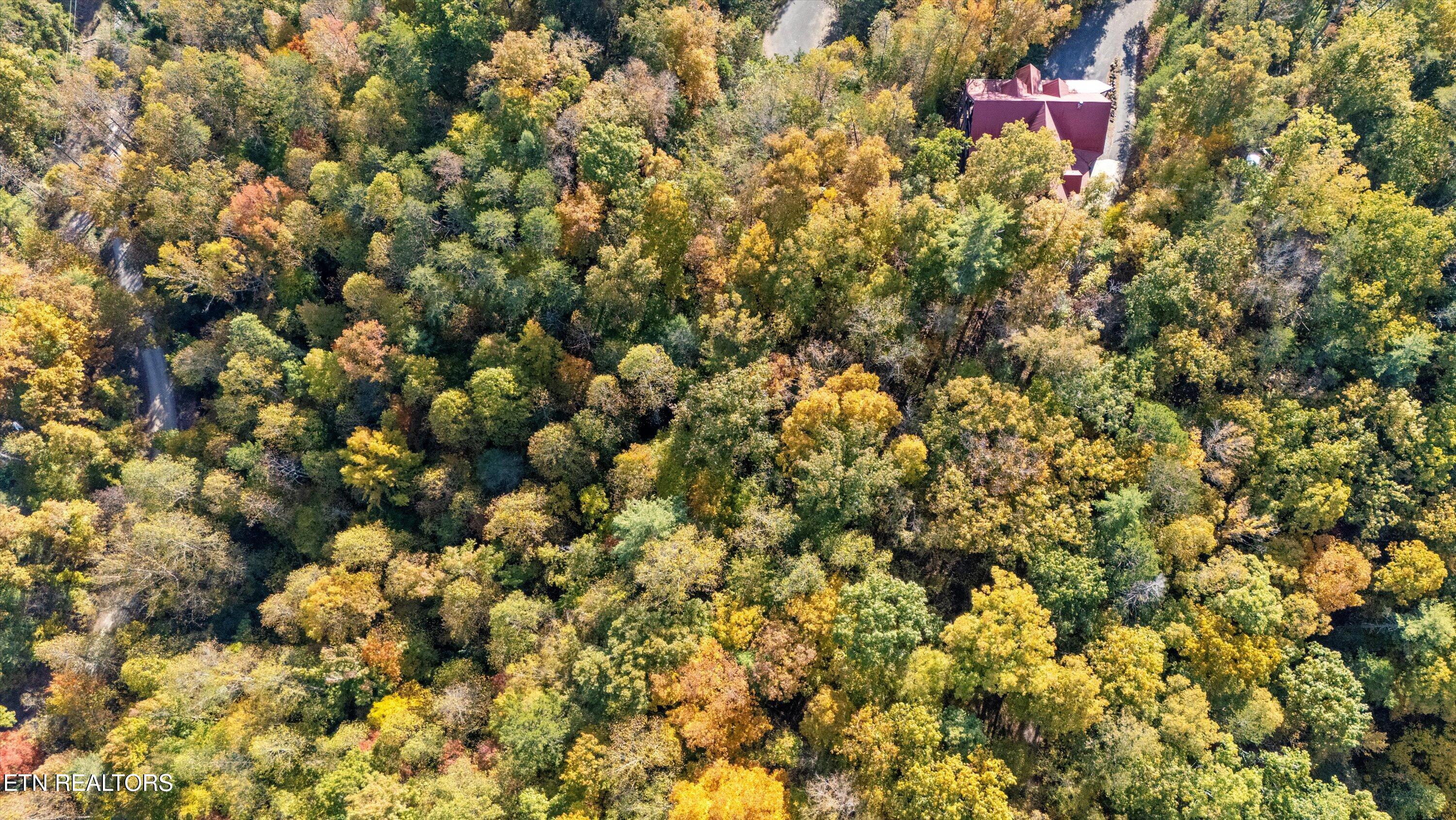 Sulpher Springs Way Sevierville TN 37862