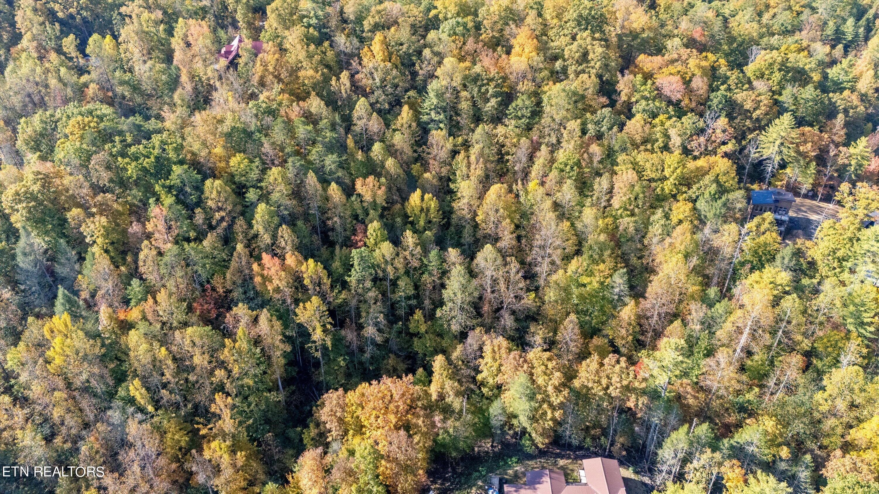 Sulpher Springs Way Sevierville TN 37862