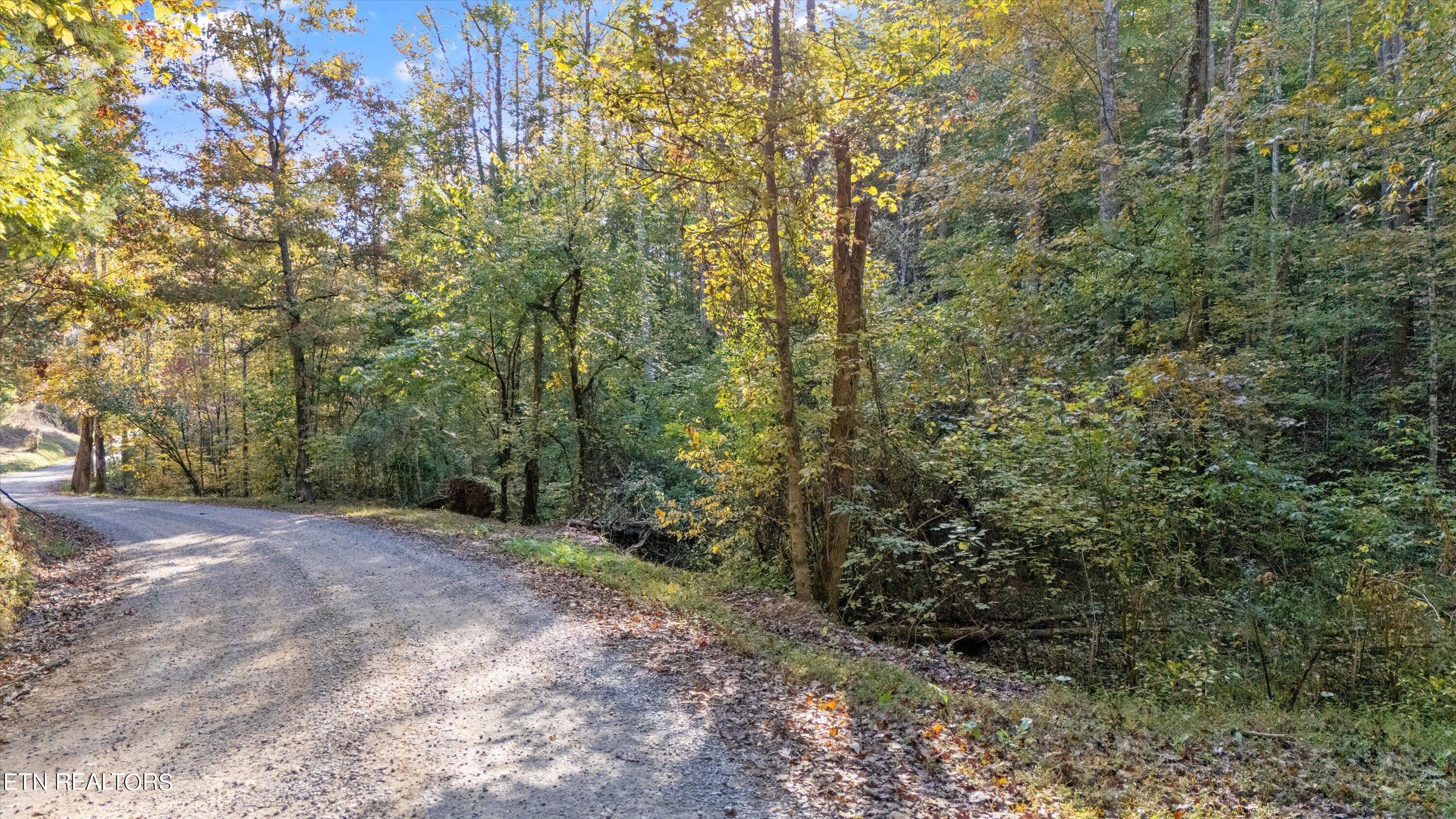 Sulpher Springs Way Sevierville TN 37862