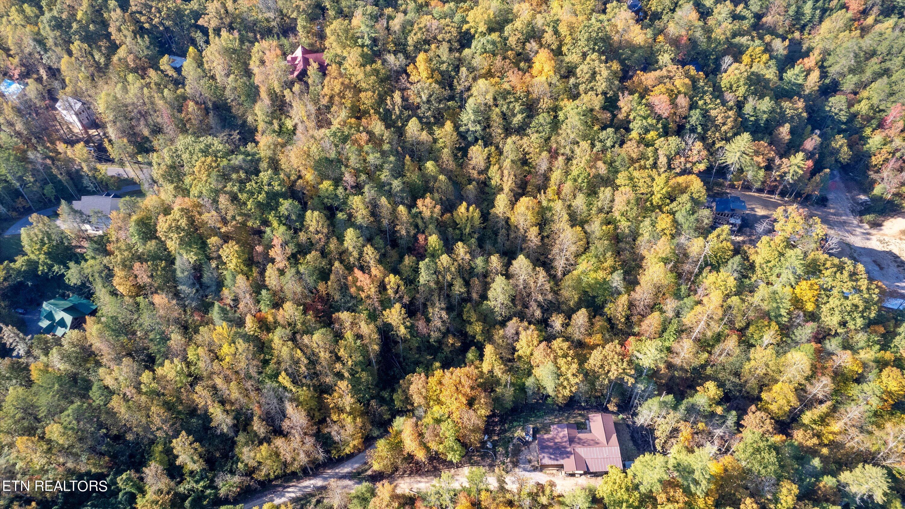 Sulpher Springs Way Sevierville TN 37862