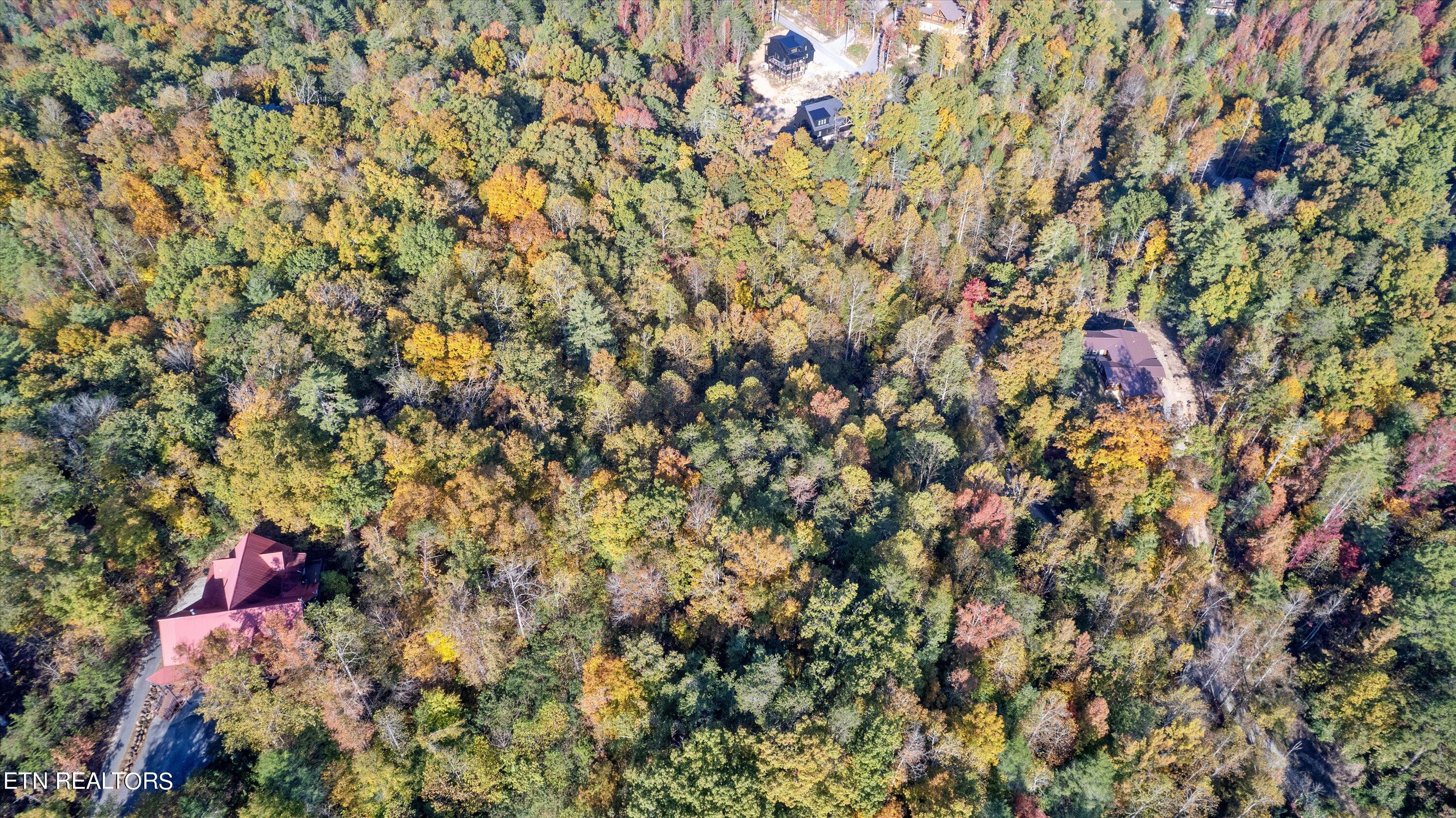 Sulpher Springs Way Sevierville TN 37862