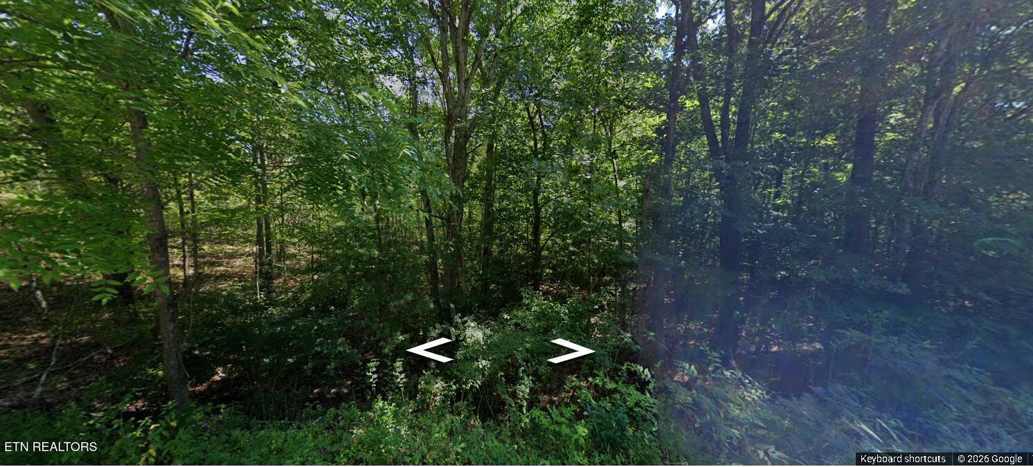 5007 Ostego Drive Crossville TN 38572