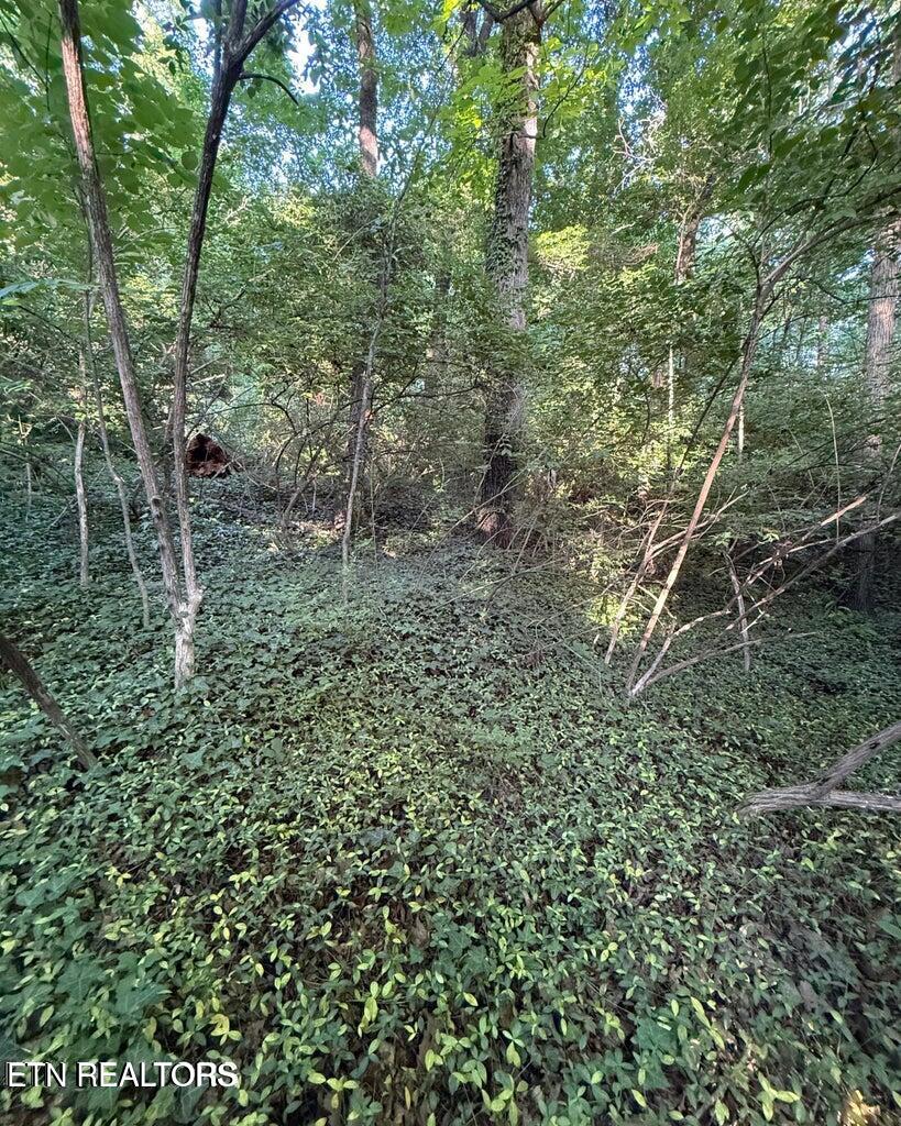 5016 Ridgemont Drive Knoxville TN 37918