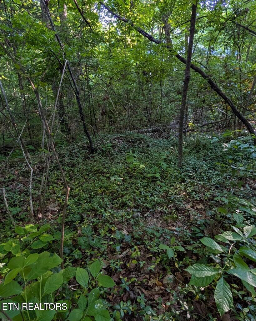 5016 Ridgemont Drive Knoxville TN 37918