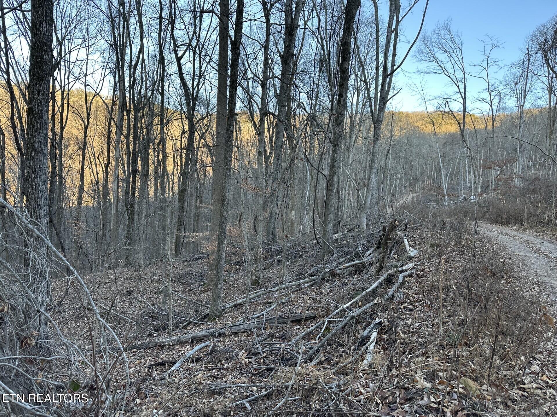 00 Stone Ridge Road Pikeville TN 37367