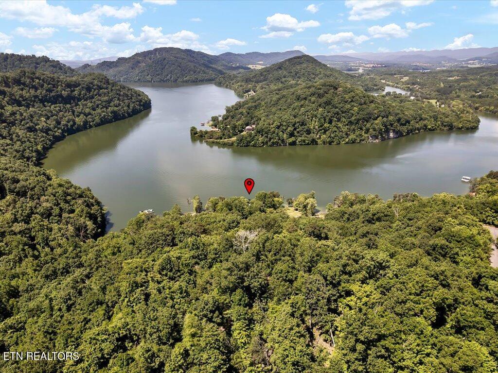 Lot 11 Walnut Bend Drive Whitesburg TN 37891