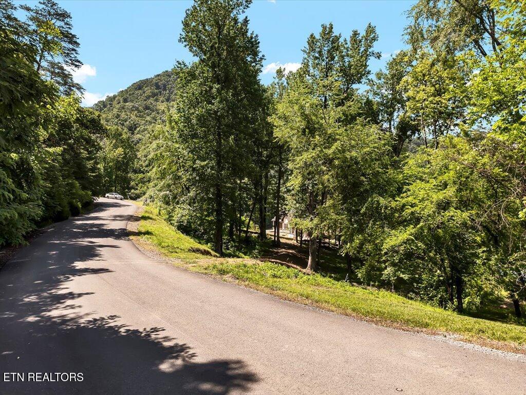 Lot 11 Walnut Bend Drive Whitesburg TN 37891