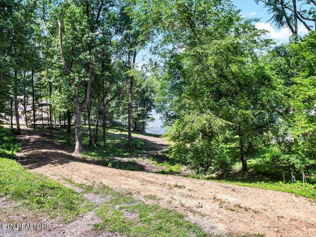 Lot 11 Walnut Bend Drive Whitesburg TN 37891