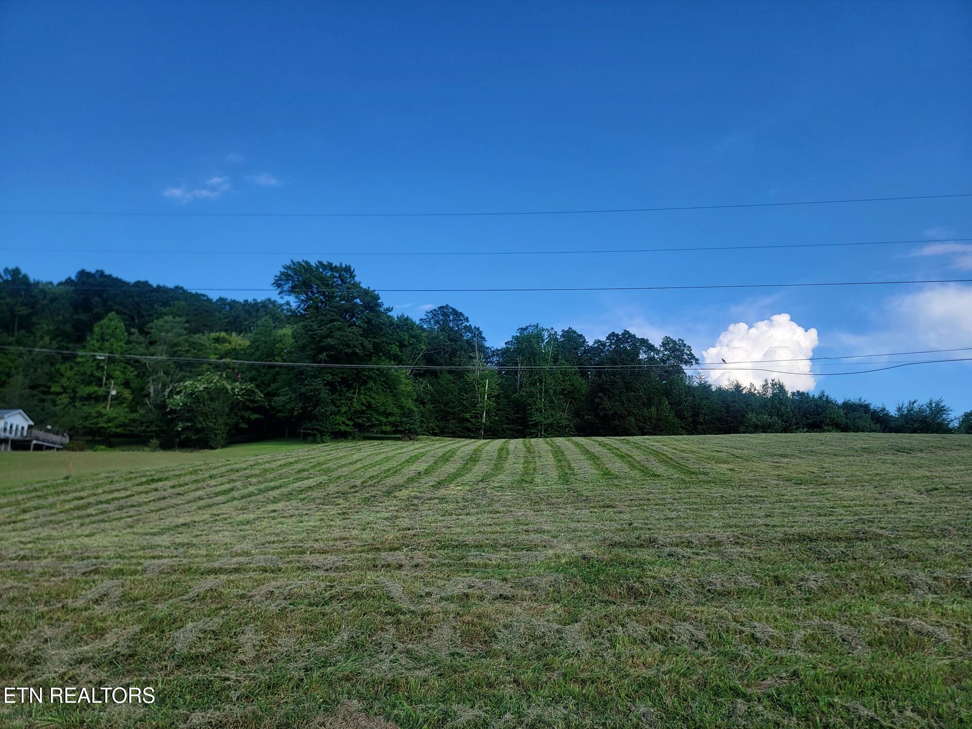 Lot 33 Hinch Street Spring City TN 37381