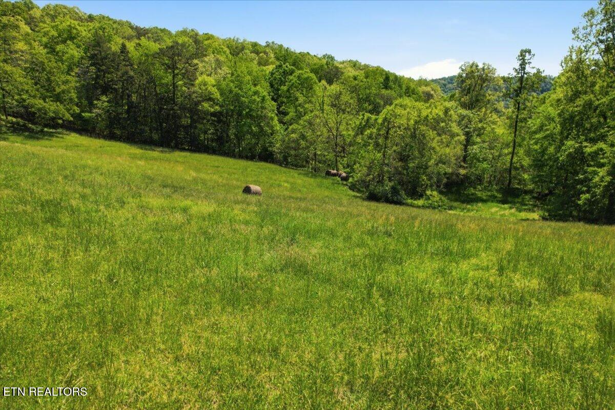 1297 Clinch River Road Tazewell TN 37879