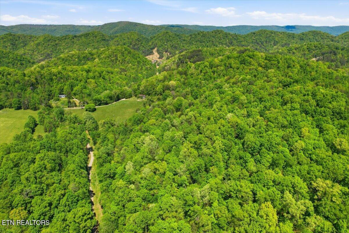 1297 Clinch River Road Tazewell TN 37879