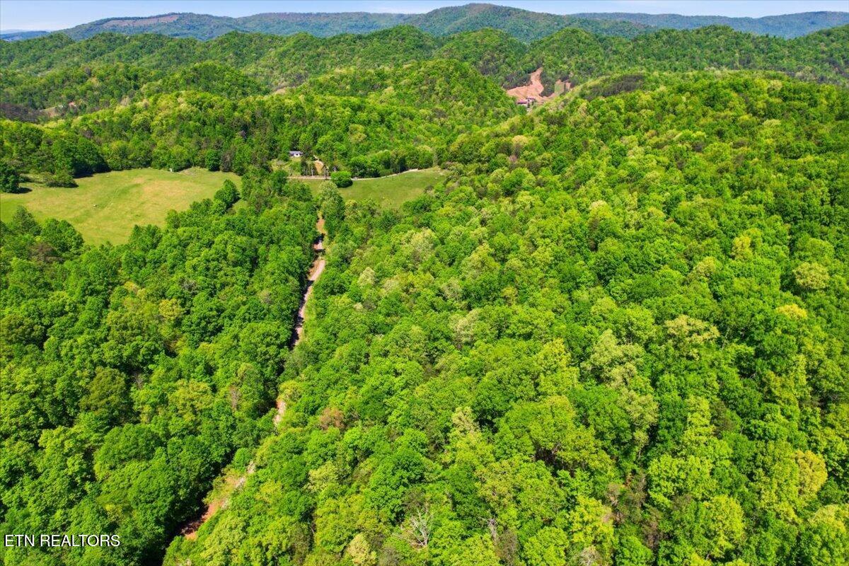 1297 Clinch River Road Tazewell TN 37879
