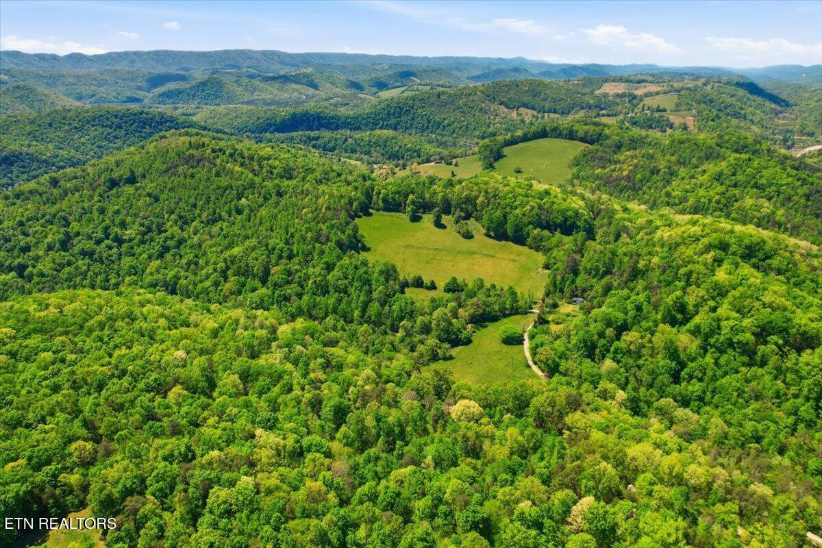 1297 Clinch River Road Tazewell TN 37879