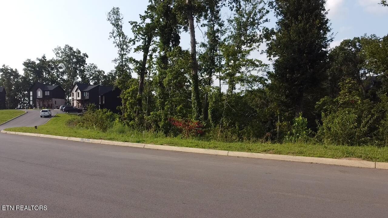 Lot 145 Reedmont Way Sevierville TN 37876